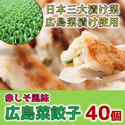 広島菜餃子40個