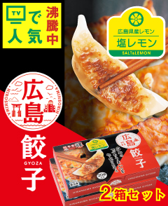 ひろしま塩レモン餃子 2箱セット 餃子 餃子家 龍