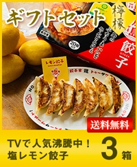 【送料無料】ひろしま塩レモン餃子 3箱セット